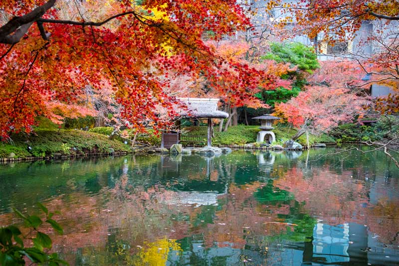 秋の庭園　池