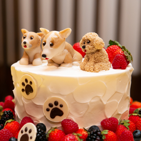 オリジナルのウエディングケーキは、おふたりの大好きな愛犬をモチーフにしたデザインに。 当日はお留守番の愛犬たちも家族の一員として、 おふたりの晴れ姿を見守ってくれています。
